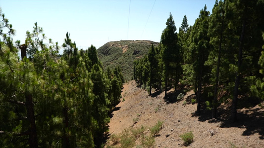 谷粒甘蔗山露出视频