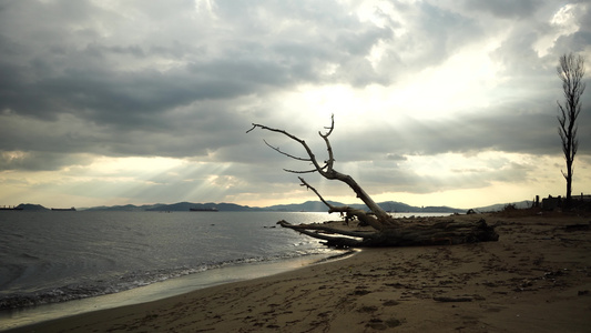 海湾岸边的海景有条鱼网北海马卡俄鲁西亚视频