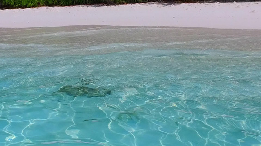 在海浪附近有清洁沙土背景的浅海边自然光滑海岸海滩度假视频