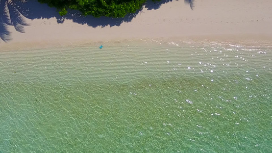 阳光明媚的天堂环礁湖海滩野生生物景象由在沙巴附近有视频