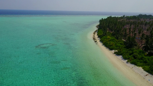 以蓝海和棕榈附近的白沙背景进行旅游海滩航次的游客游览视频