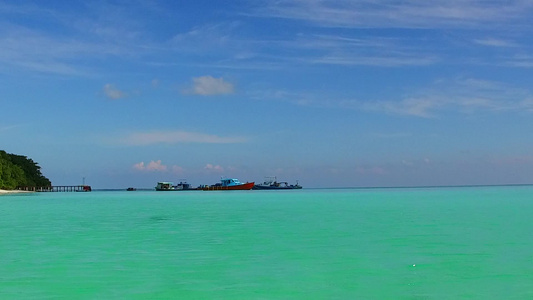 以蓝海和棕榈附近的白沙本背景航行的宁静海岸海滩景象视频