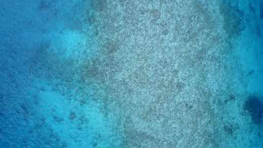 棕榈附近海平面和白沙底背景的清海和白沙滩生活方式视频