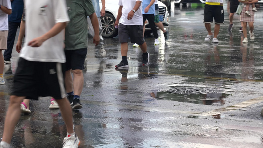 4K暴雨后城市斑马线过马路的人群脚步实拍视频
