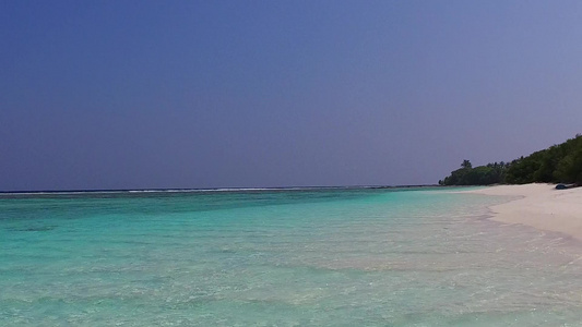 通过浅海和接近冲浪的白色沙滩背景观视海滩野生生物风景视频