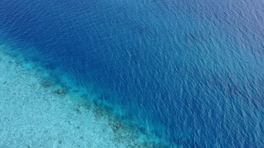 海浪附近有白色沙子背景的蓝海对沿海海滩野生生物的近光视频