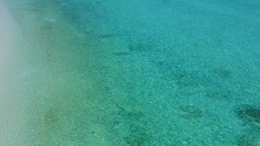 夏季风景通过棕榈附近清水和白沙土背景来放松旅游海滩视频