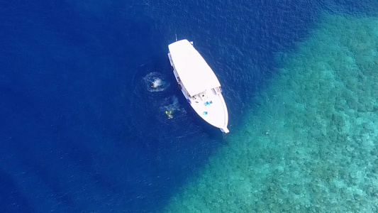 绿松石海洋和冲浪附近的白色沙滩背景完美海岸海滩野生动物视频