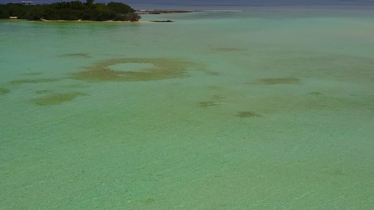 海洋旅游海滩野生动物的阳光全景沙滩附近有白沙背景的视频