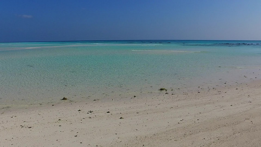 蓝绿海棕榈附近有白沙背景的蓝绿色海野生生物亚特兰地视频