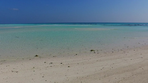 蓝绿海棕榈附近有白沙背景的蓝绿色海野生生物亚特兰地12秒视频