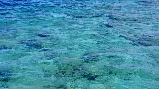 蓝环礁湖和阳光下清洁沙滩背景的奇特沿海海滩野生生物视频