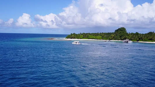 海滨海滩沿蓝海航行棕榈附近有白色沙沙底背景的蓝色海洋视频