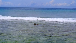 蓝环礁棕榈附近的白色沙子10秒视频