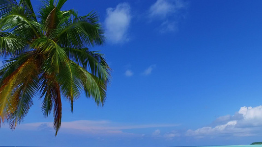 蓝色绿色环礁湖和棕榈附近白沙背景航行的美丽海岸海滩视频