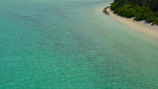 以透明海洋清洁沙土背景靠近度假胜地的海滨野生生物为例视频