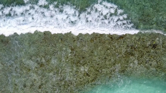 棕榈附近的白沙背景浅海的完美海岸海滩野生生物阳光明媚视频