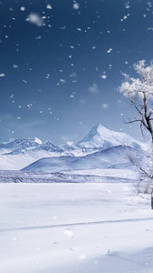 冬天下雪雪花背景浪漫雪景视频