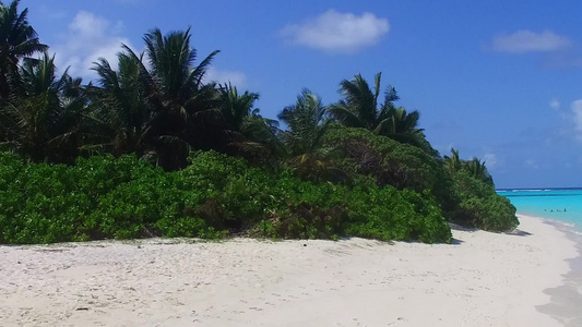 日出后蓝环礁和白色沙滩背景的热带海岸海滩野生生物空间视频