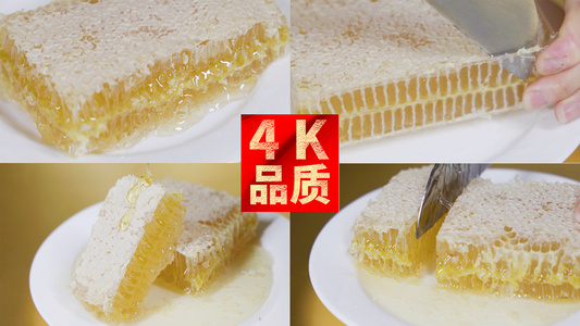 4k蜂蜜蜂巢特写慢动作视频合集视频