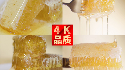 4k蜂蜜蜂巢特写慢动作视频合集视频