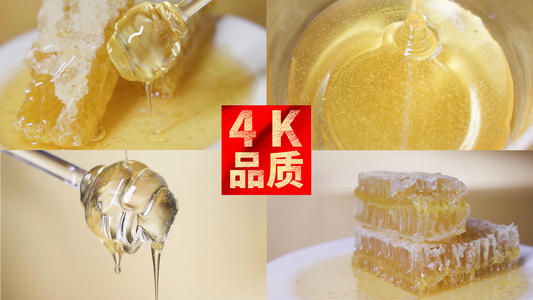 4k蜂蜜蜂巢特写慢动作视频合集视频