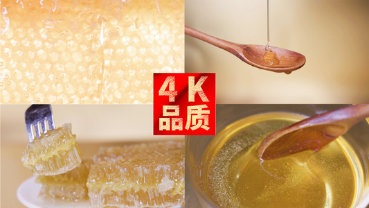 4k蜂蜜蜂巢特写慢动作视频合集视频