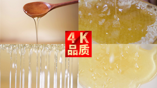 4k蜂蜜蜂巢特写慢动作视频合集视频