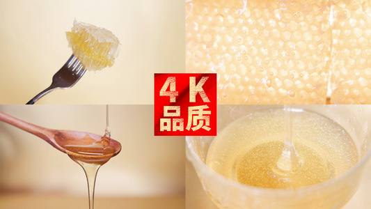 4k蜂蜜蜂巢特写慢动作视频合集视频