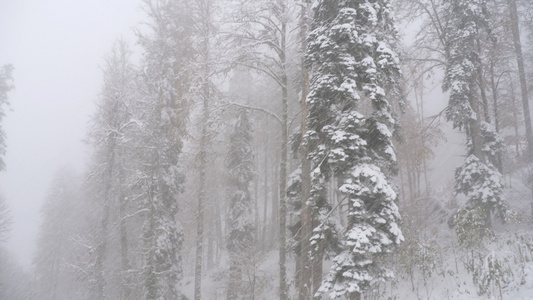 从有线汽车歌多拉在大雪瀑布上移动的景象视频