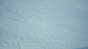 暴风雪18秒视频