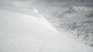 暴风雪22秒视频