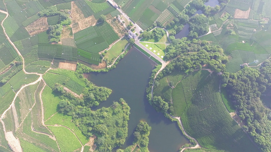 杭州龙坞茶园 光明寺水库视频