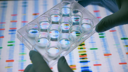 在实验室的计算机屏幕上显示DNA谱视频