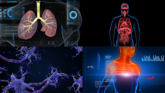 3d医疗器官肌肉合集视频