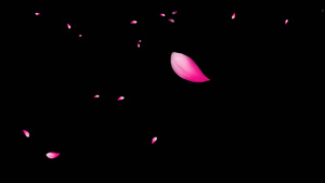 4K透明通道桃花瓣飘落视频素材30秒视频