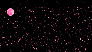 和成百上千万粉红沙仓叶子落在地板上慢慢地移动满月15秒视频