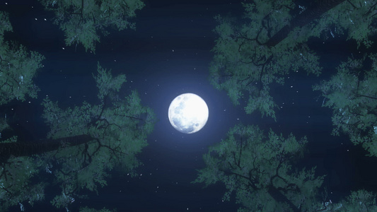 满月夜的树林计算机图形视频