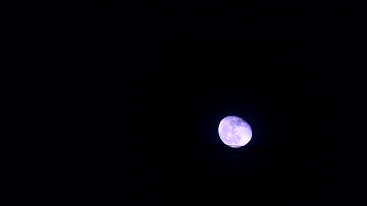 紫色月亮在黑暗夜空中移动通过电线视频