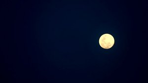夜晚天空背景下的粉红月亮轨道10秒视频