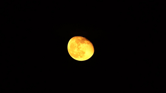 黑天空中的橙色月亮视频