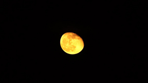 黑天空中的橙色月亮20秒视频