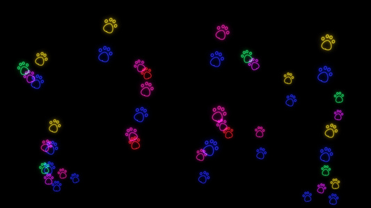 彩虹彩彩色猫脚印在黑屏幕上播送所有框架问候视频