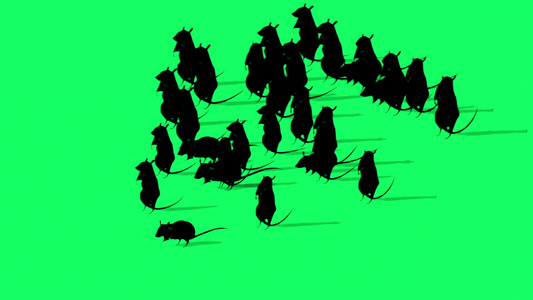 绿屏幕上的大鼠环影动画视频