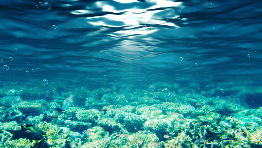 4K唯美的海底世界背景视频素材视频