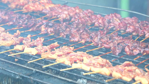 烤炉里的猪肉和鸡肉在烧烤11秒视频