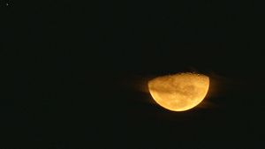 与夜空中的月亮14秒视频