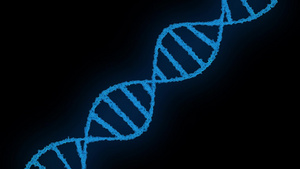 DNA构建动画扫描科学动画基因组未来镜头遗传信息高清15秒视频