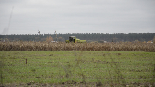 秋天拖拉机在田地收获玉米视频