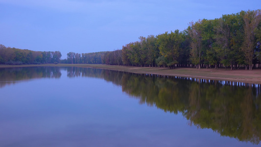 在一个小湖的水中树的反射视频